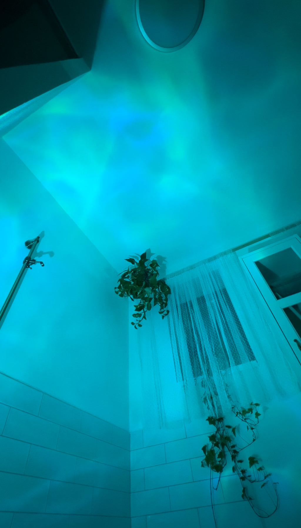 Cozy Aura Lamp - your safe place✨